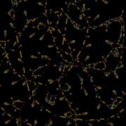 ackermann_4_4_75steps_medium.gif